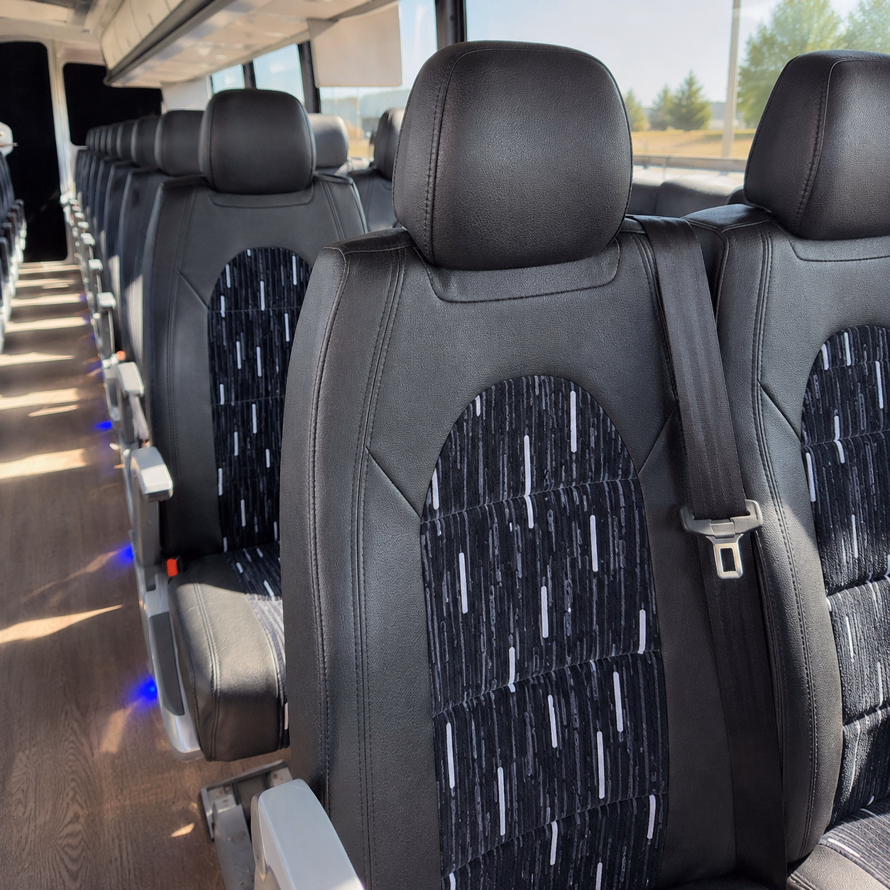 rent a field trip bus to amarillo museums and science centers